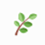 Leaf icon symbolizing simple and stress-free explanations